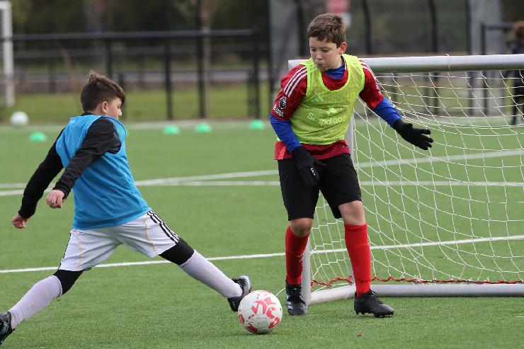 klik hier voor de originele foto (349kB - 1600x1067)