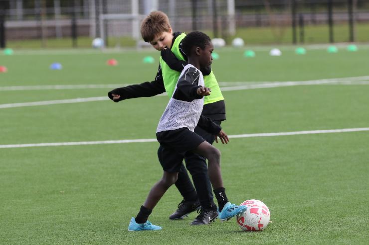 klik hier voor de originele foto (275kB - 1600x1067)