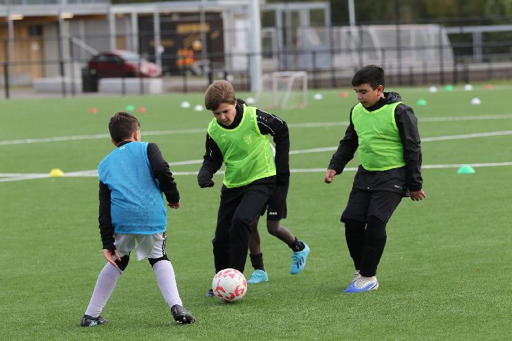 klik hier voor de originele foto (311kB - 1600x1067)