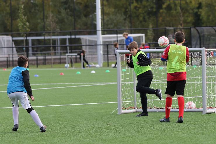 klik hier voor de originele foto (368kB - 1600x1067)