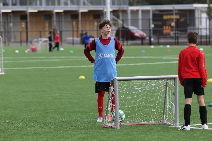 klik hier voor de originele foto (320kB - 1600x1067)