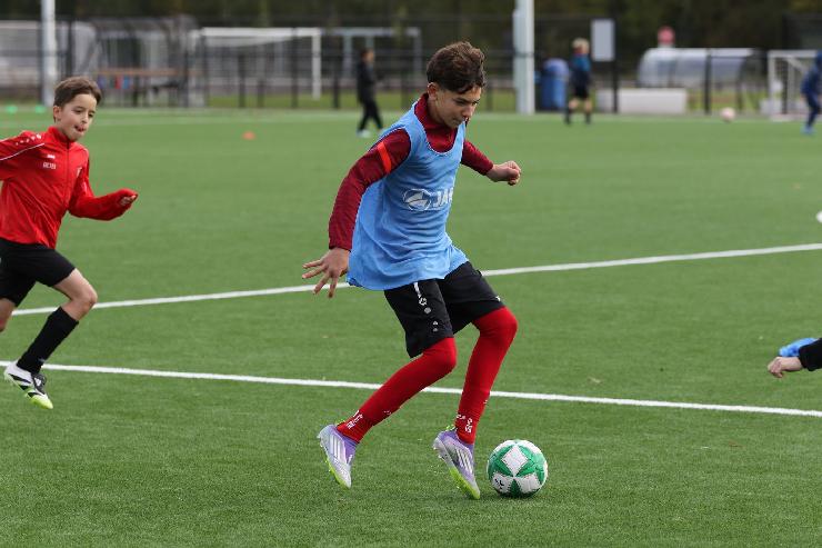 klik hier voor de originele foto (305kB - 1600x1067)