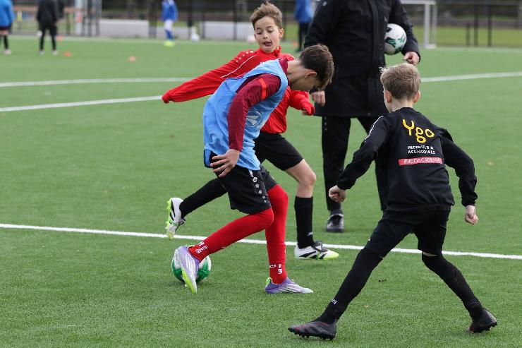 klik hier voor de originele foto (345kB - 1600x1067)