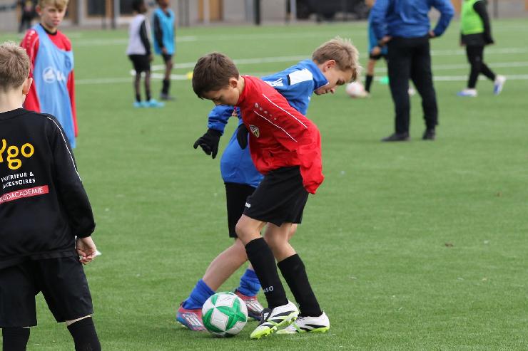 klik hier voor de originele foto (275kB - 1600x1068)