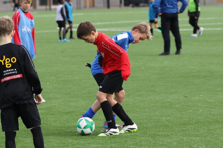 klik hier voor de originele foto (296kB - 1600x1067)