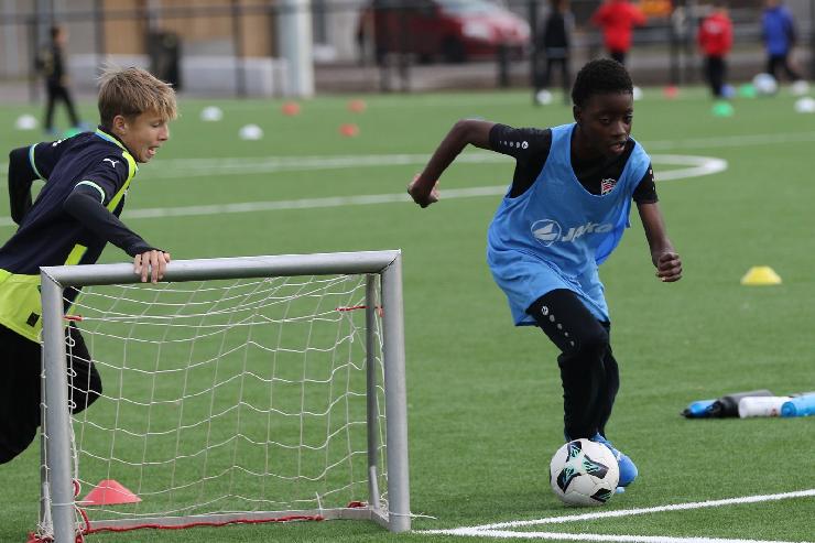 klik hier voor de originele foto (291kB - 1600x1067)