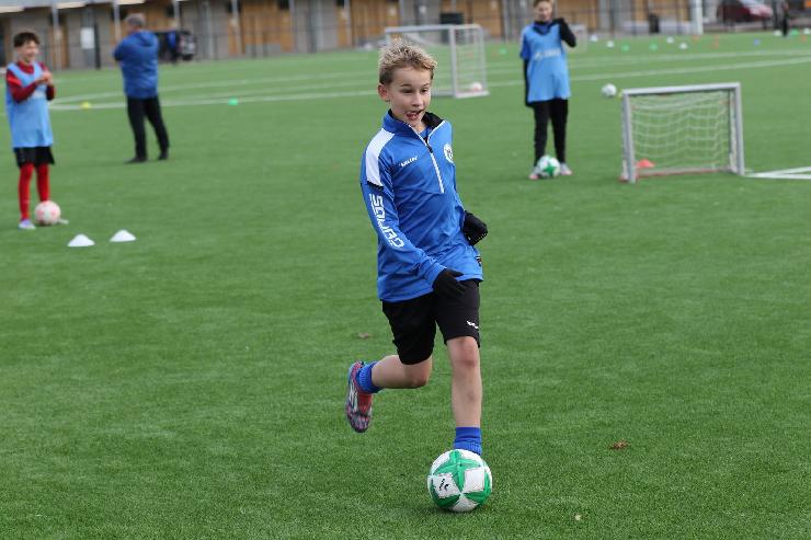 klik hier voor de originele foto (327kB - 1600x1067)