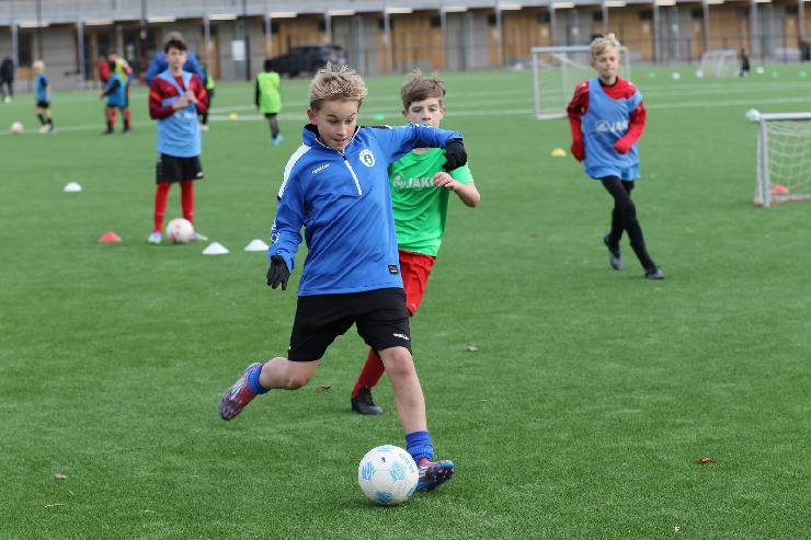 klik hier voor de originele foto (338kB - 1600x1067)