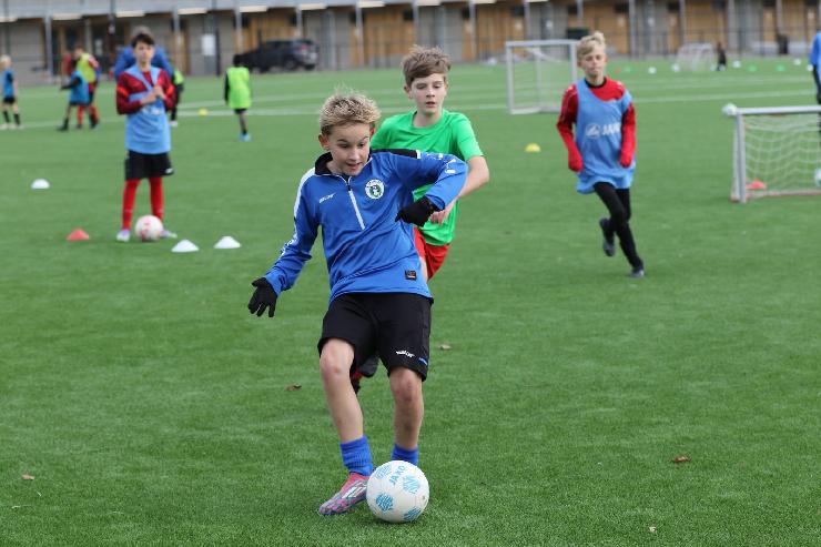 klik hier voor de originele foto (311kB - 1600x1067)