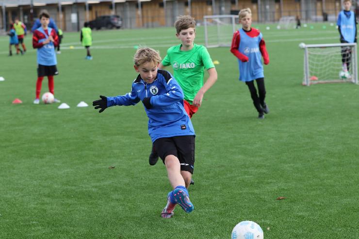 klik hier voor de originele foto (304kB - 1600x1067)