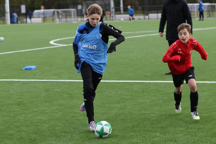 klik hier voor de originele foto (296kB - 1600x1067)