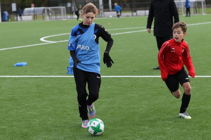 klik hier voor de originele foto (305kB - 1600x1067)