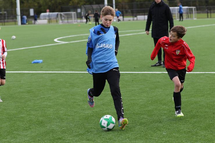 klik hier voor de originele foto (343kB - 1600x1067)