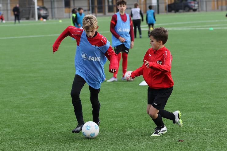 klik hier voor de originele foto (359kB - 1600x1067)