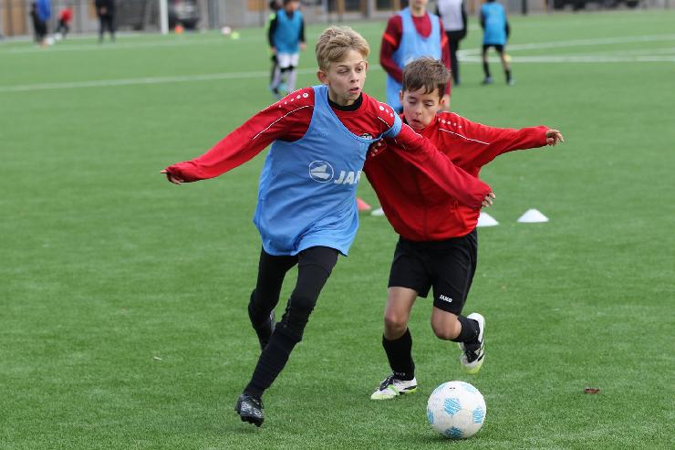 klik hier voor de originele foto (295kB - 1600x1067)