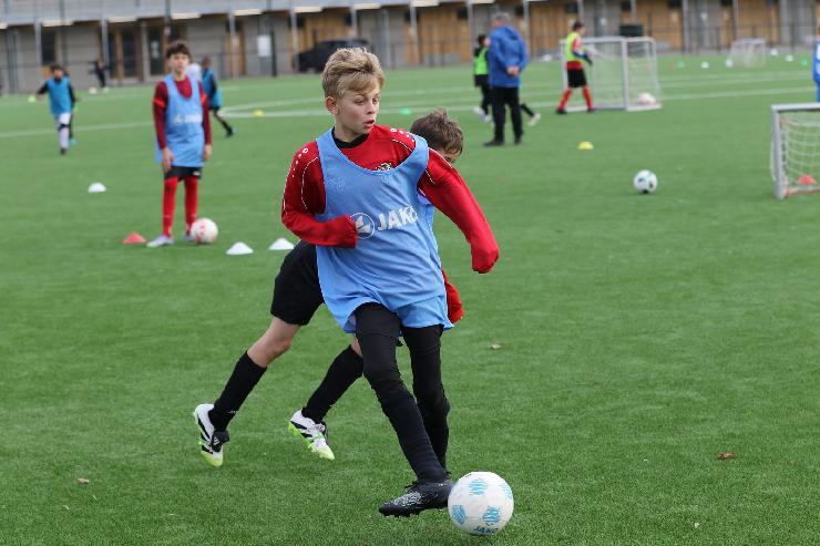 klik hier voor de originele foto (320kB - 1600x1067)