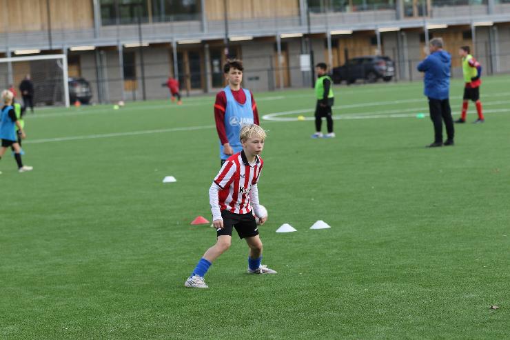 klik hier voor de originele foto (309kB - 1600x1067)