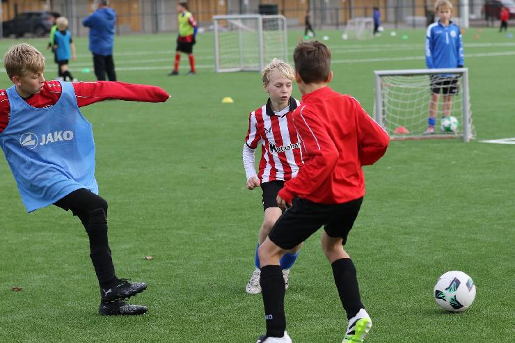 klik hier voor de originele foto (369kB - 1600x1067)