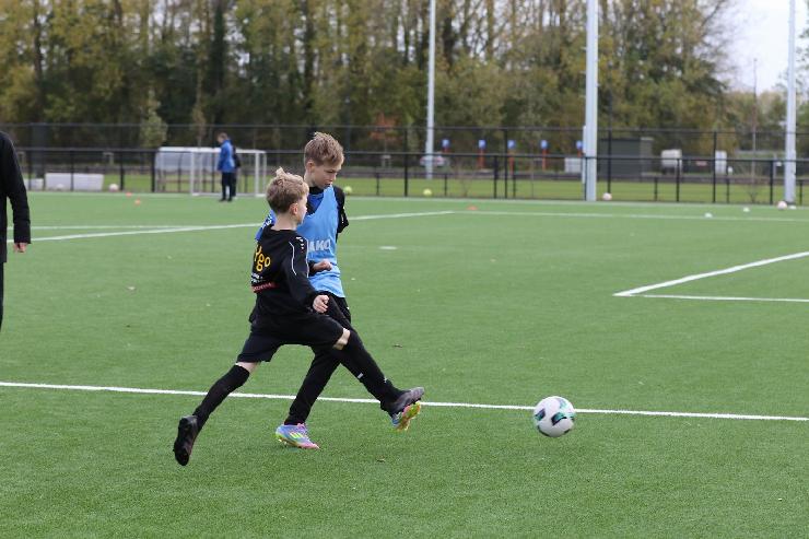 klik hier voor de originele foto (347kB - 1600x1067)