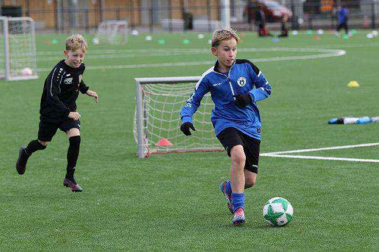 klik hier voor de originele foto (313kB - 1600x1067)