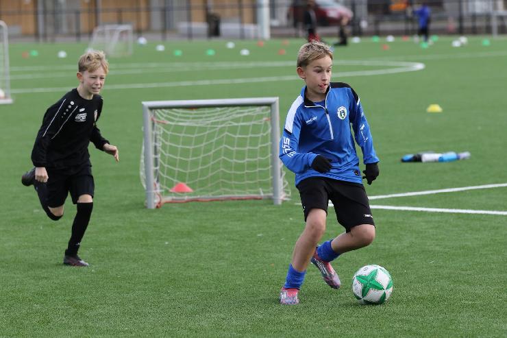 klik hier voor de originele foto (327kB - 1600x1067)