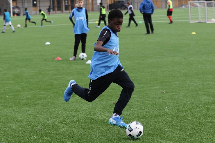 klik hier voor de originele foto (357kB - 1600x1067)