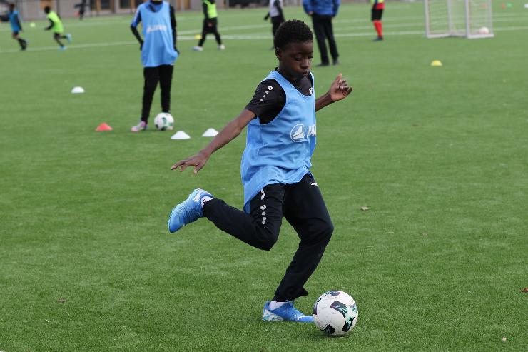 klik hier voor de originele foto (326kB - 1600x1067)