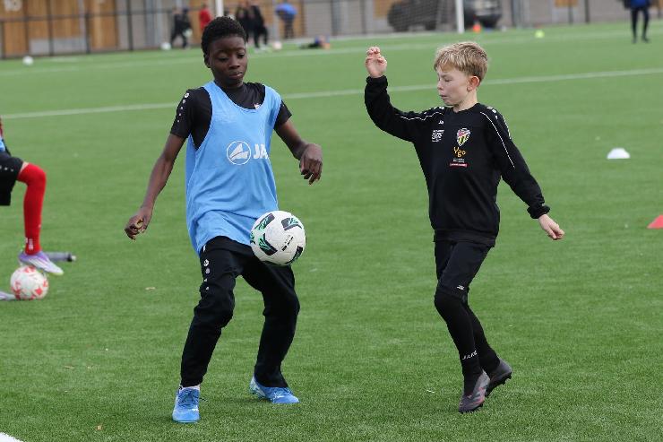 klik hier voor de originele foto (330kB - 1600x1067)