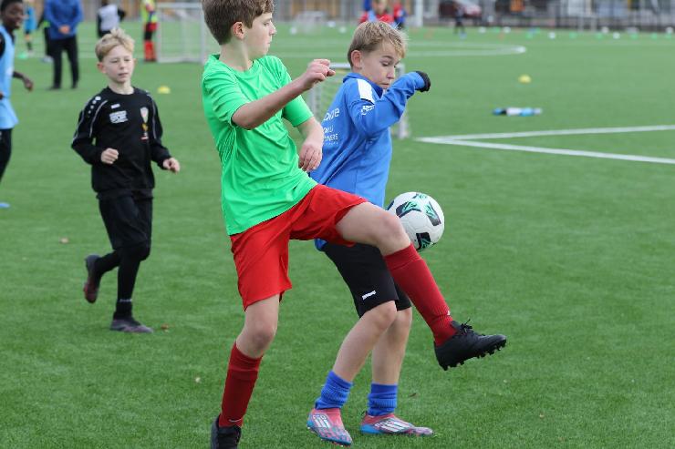 klik hier voor de originele foto (268kB - 1600x1067)