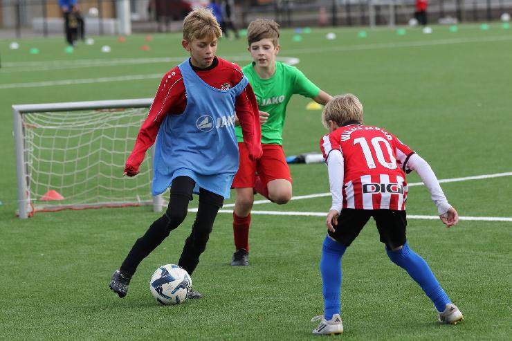 klik hier voor de originele foto (358kB - 1600x1068)