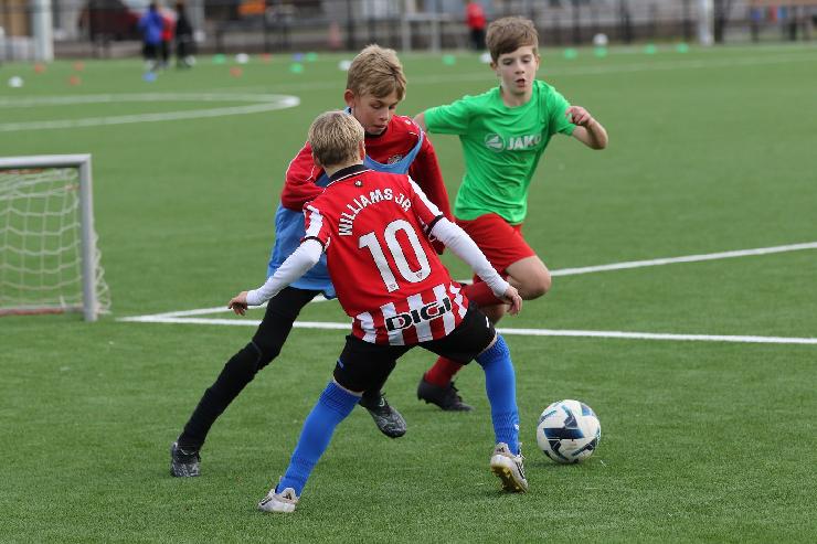 klik hier voor de originele foto (332kB - 1600x1067)