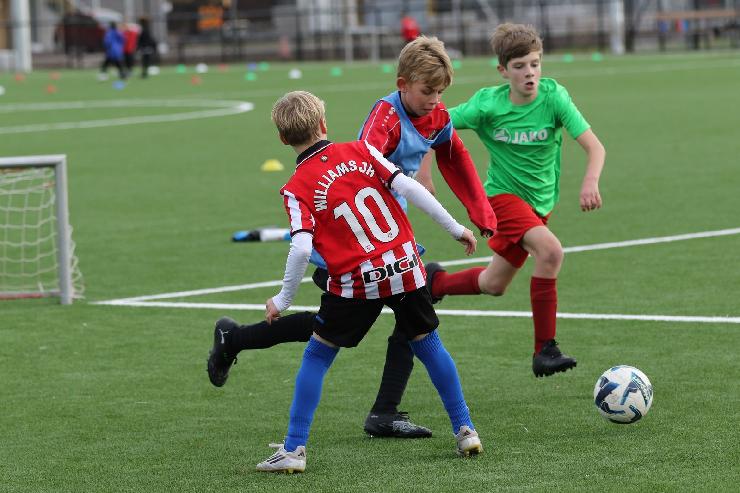 klik hier voor de originele foto (330kB - 1600x1067)