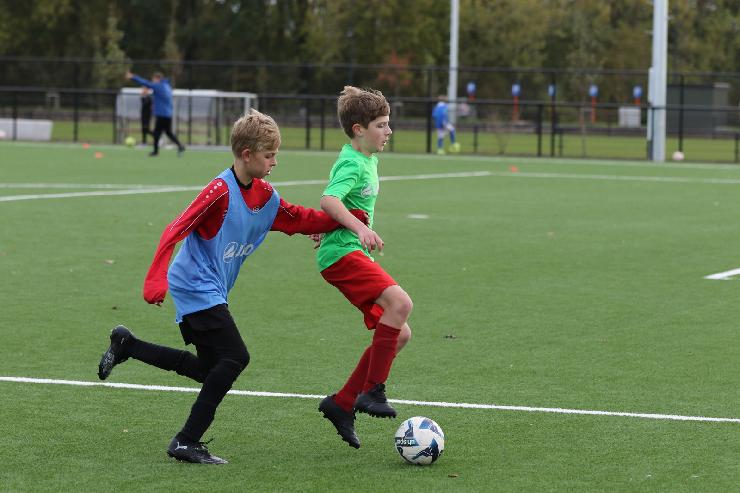 klik hier voor de originele foto (290kB - 1600x1067)