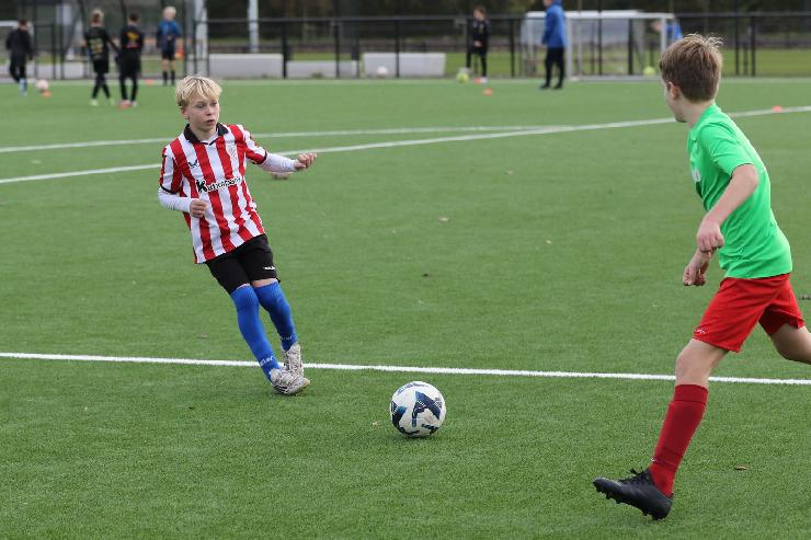 klik hier voor de originele foto (362kB - 1600x1067)