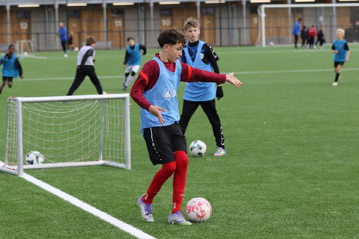 klik hier voor de originele foto (360kB - 1600x1067)