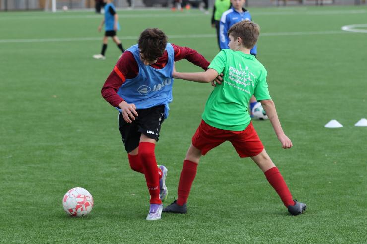 klik hier voor de originele foto (274kB - 1600x1067)