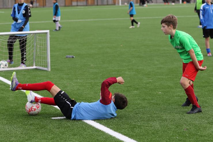 klik hier voor de originele foto (375kB - 1600x1067)