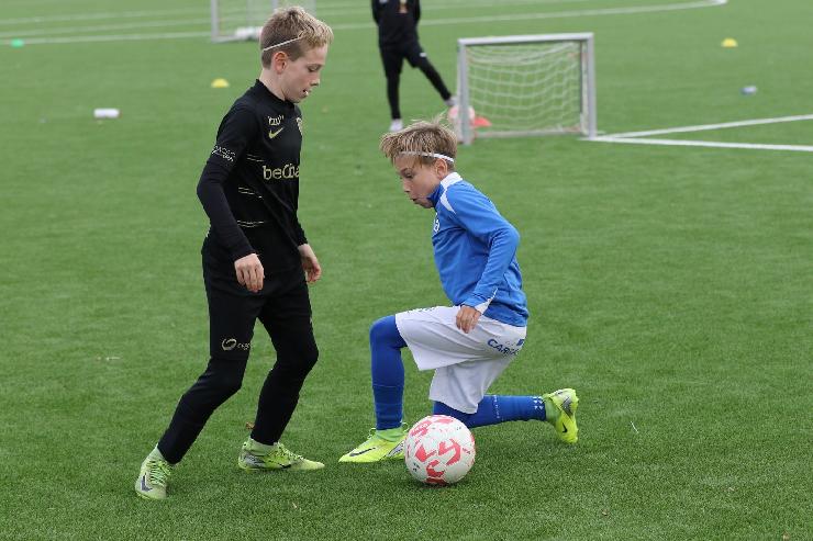 klik hier voor de originele foto (353kB - 1600x1068)