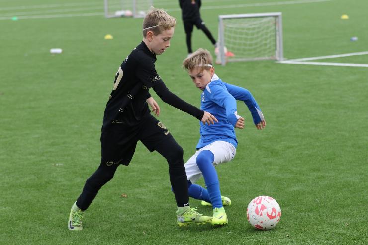 klik hier voor de originele foto (261kB - 1600x1067)