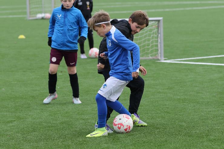 klik hier voor de originele foto (355kB - 1600x1067)