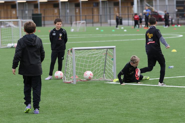 klik hier voor de originele foto (336kB - 1600x1067)