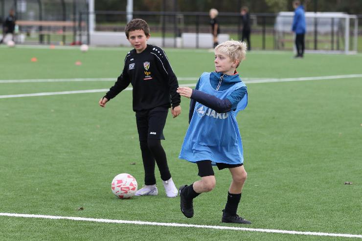 klik hier voor de originele foto (317kB - 1600x1067)