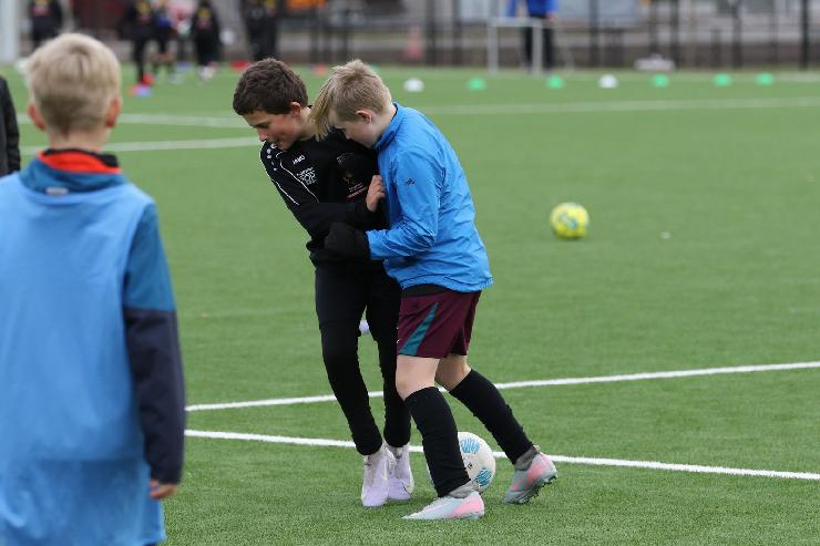 klik hier voor de originele foto (266kB - 1600x1067)