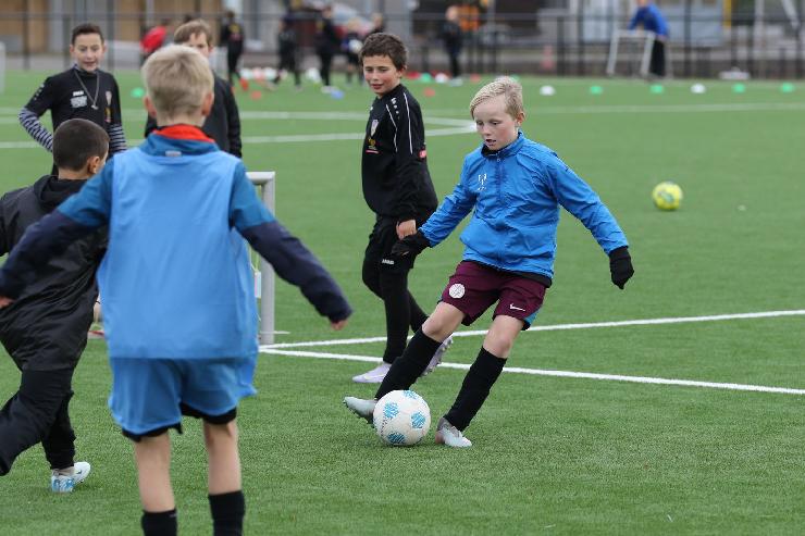 klik hier voor de originele foto (323kB - 1600x1067)