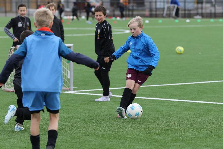 klik hier voor de originele foto (325kB - 1600x1067)