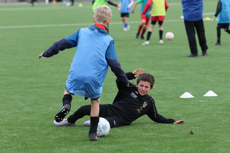 klik hier voor de originele foto (311kB - 1600x1067)