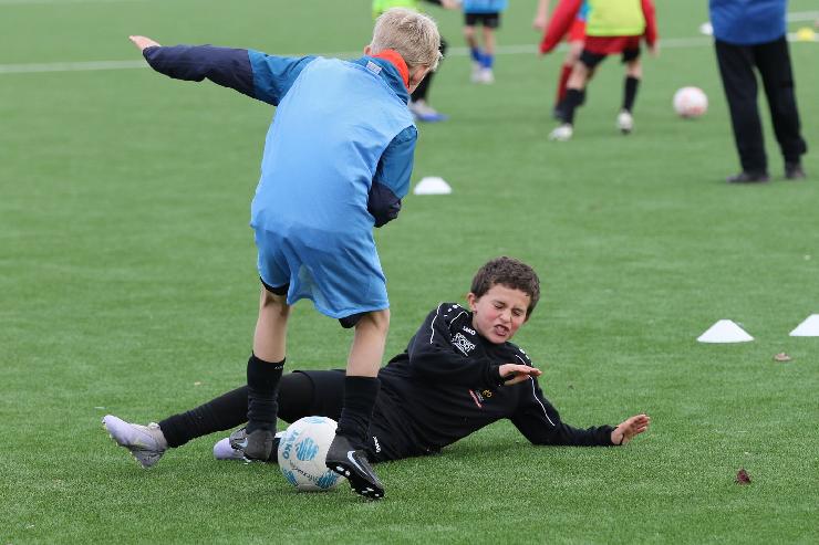 klik hier voor de originele foto (322kB - 1600x1067)