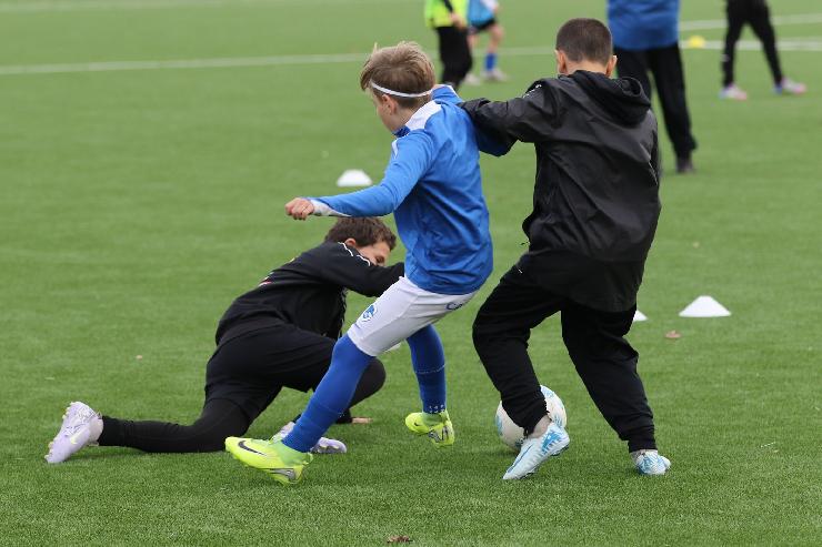 klik hier voor de originele foto (313kB - 1600x1067)