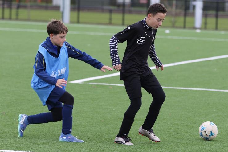 klik hier voor de originele foto (260kB - 1600x1067)