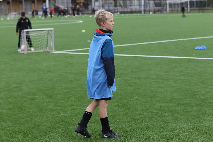 klik hier voor de originele foto (297kB - 1600x1067)